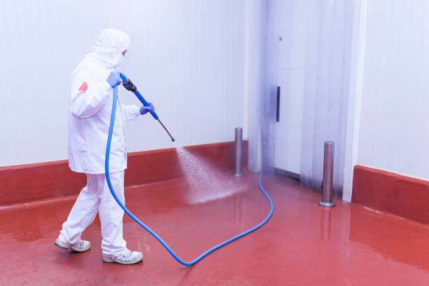 Best Boat and Dock Cleaning  in New Baltimore, VA